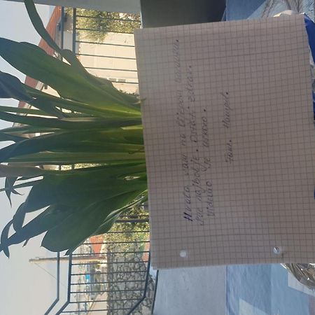 Apartment Goran 诺维·维诺多尔斯基 外观 照片